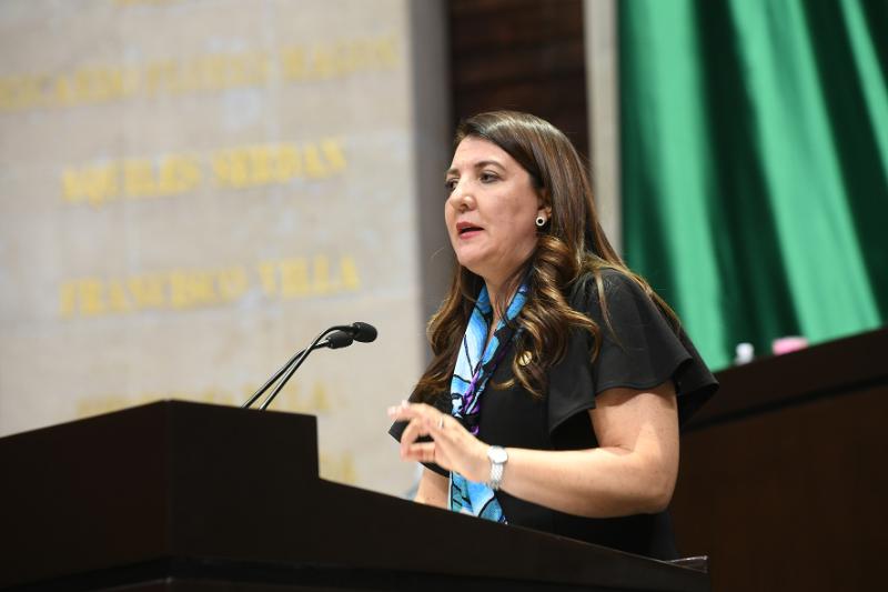 Propone diputada federal Verónica Sobrado incluir tratamiento a agresores y víctimas en Código Penal