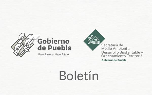 Debe ayuntamiento de Puebla cumplir normas para obras en   5 de Mayo: Manrique