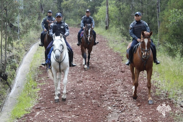 A caballo, otra forma de patrullar de la Policía Estatal
