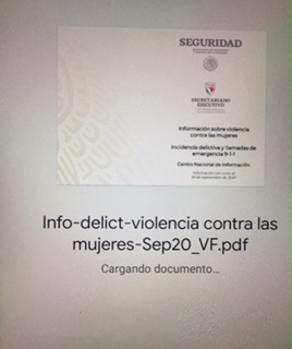 Cuatro municipios de Puebla, entre los 100 del país con más feminicidios: SNSP