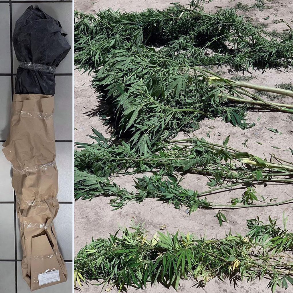 La SSC asegura enervantes en la Magdalena Tlaltelulco