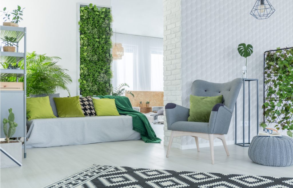 Tener un jardín vertical en tu casa: ventajas que debes aprovechar