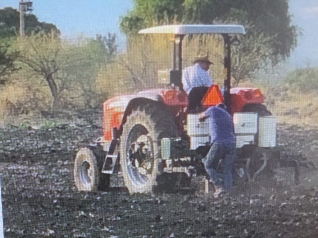 En México cada año 20 millones de toneladas de alimentos se van a la basura