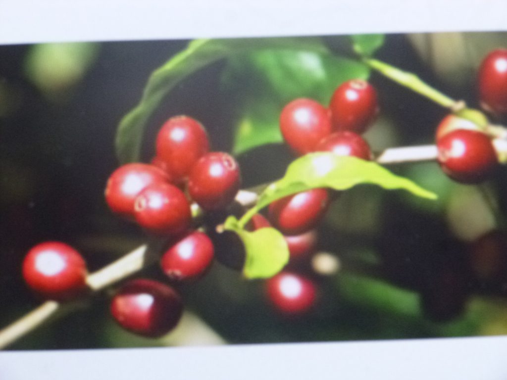 Seguiremos apoyando al campo poblano, afirmó el gobernador del estado