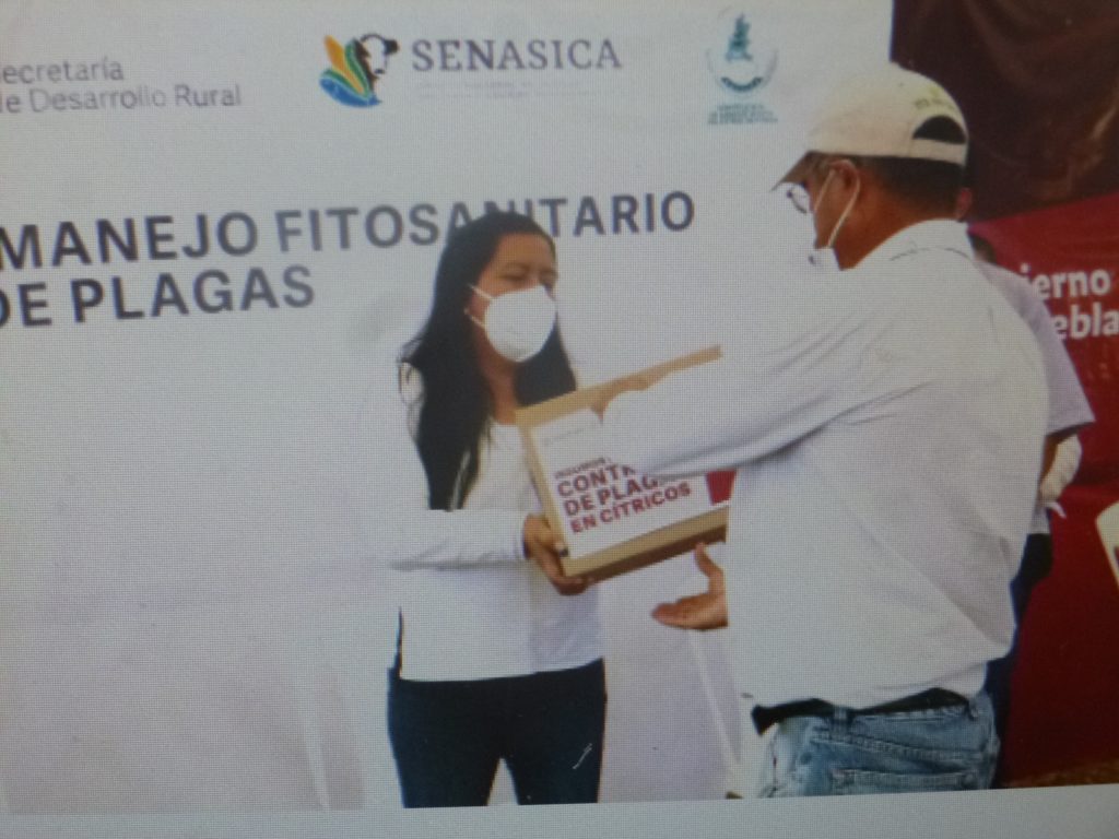 La SDR entregó insumos para el control de plagas en cítricos en Teziutlán