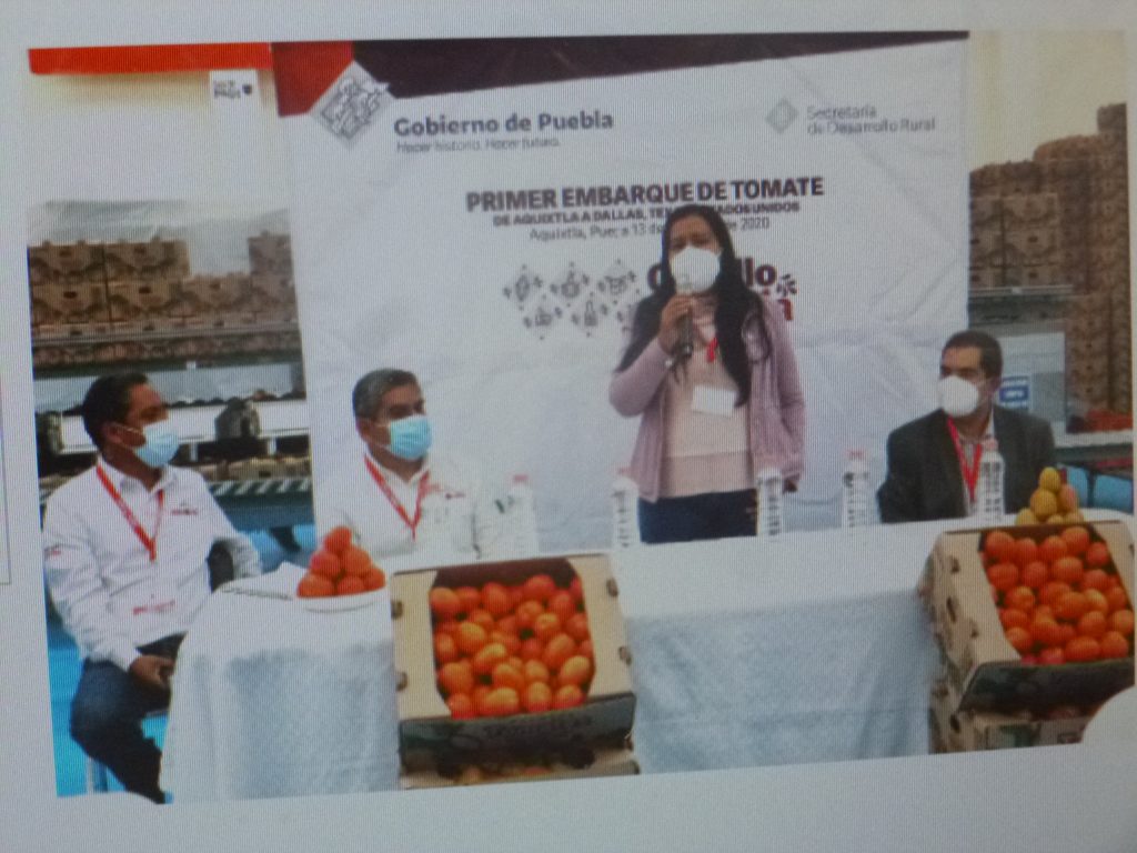 Con apoyo de la SDR, productores de Aquixtla exportan jitomate a Dallas Texas