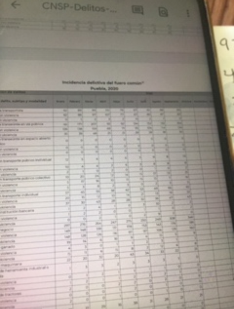 Puebla registró 40 feminicidios de enero al mes de septiembre