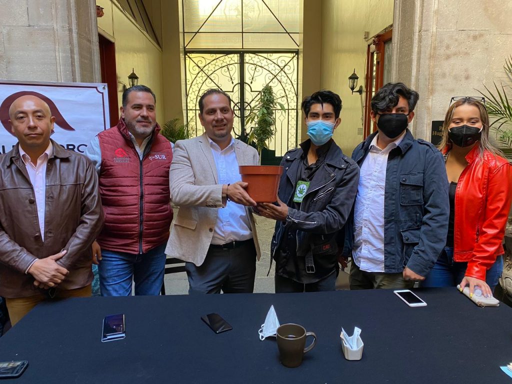 Habrá multas económicas y penales para quienes porten más de 28 gramos de marihuana: Carvajal Hidalgo