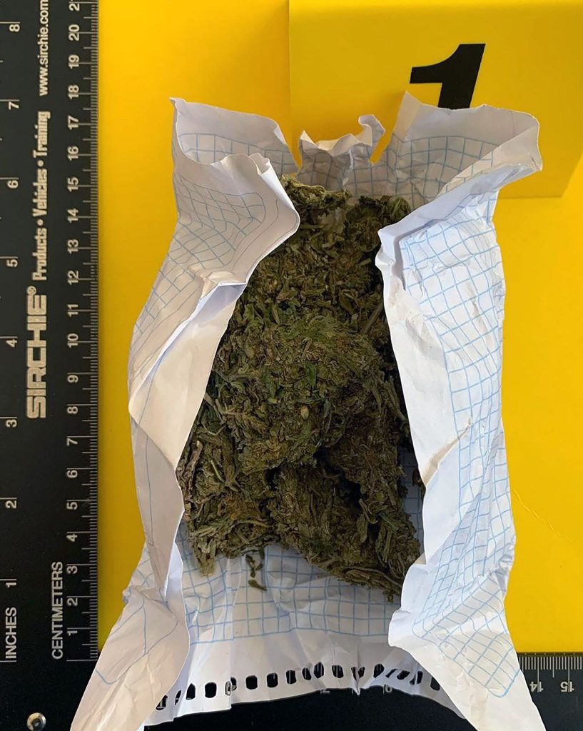 La SSC asegura a una persona por posesión ilegal de marihuana en Chiautempan