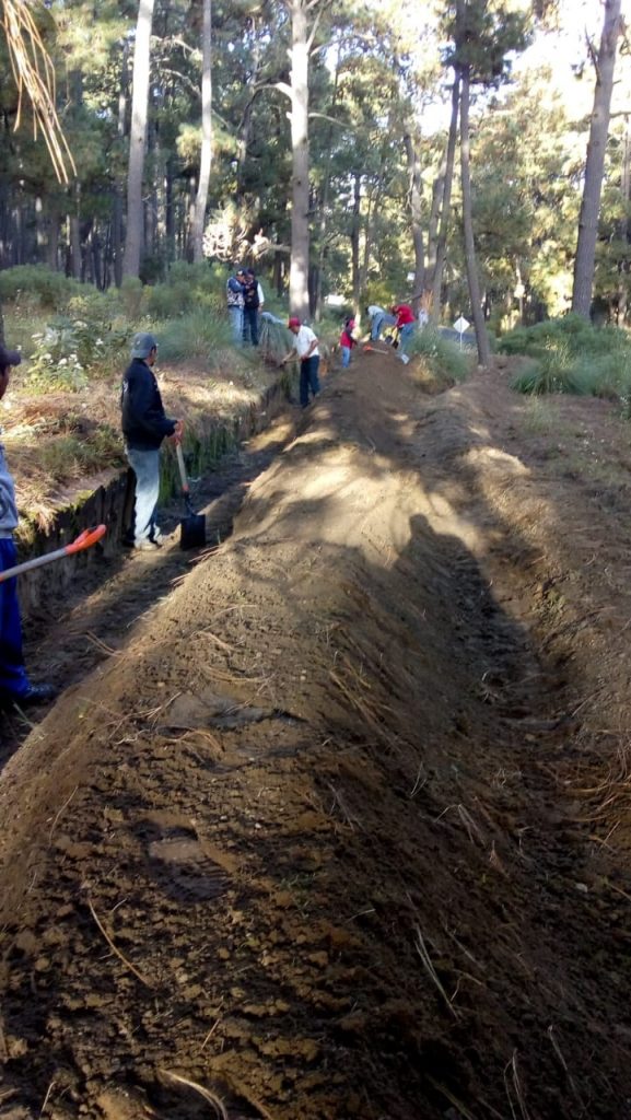 Realiza CGE trabajos de sanidad forestal en Chiautempan 