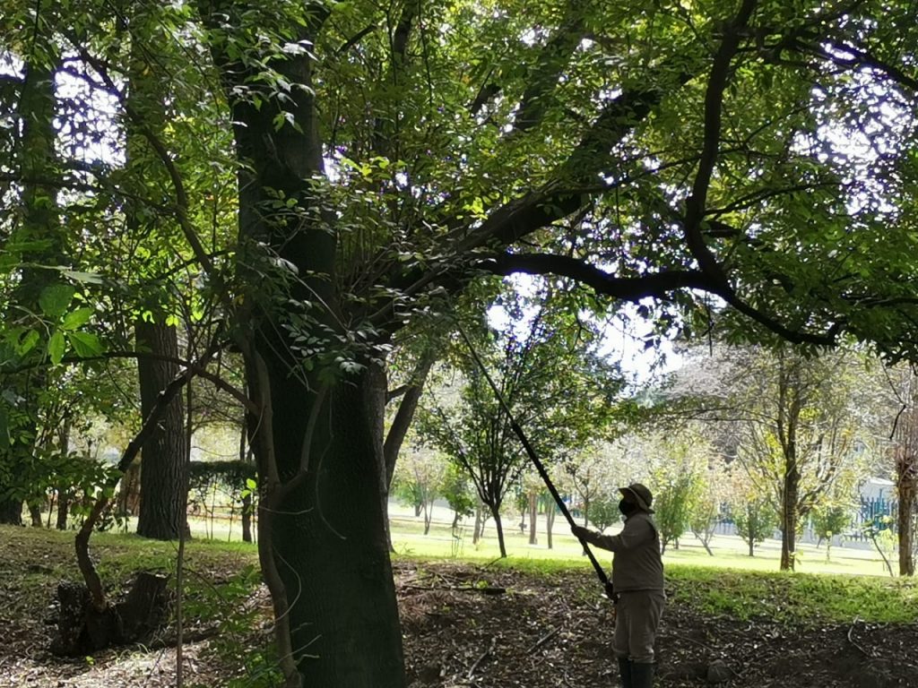 Aplica CGE programa de saneamiento en el jardín botánico de Tizatlán