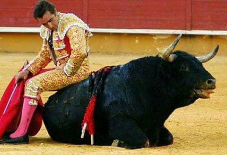 Fin ya a las corridas de toros: Hipólito Contreras