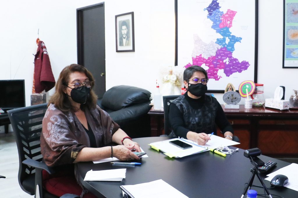 Participa SEDIF en sesión 2020 de SIPINNA Nacional