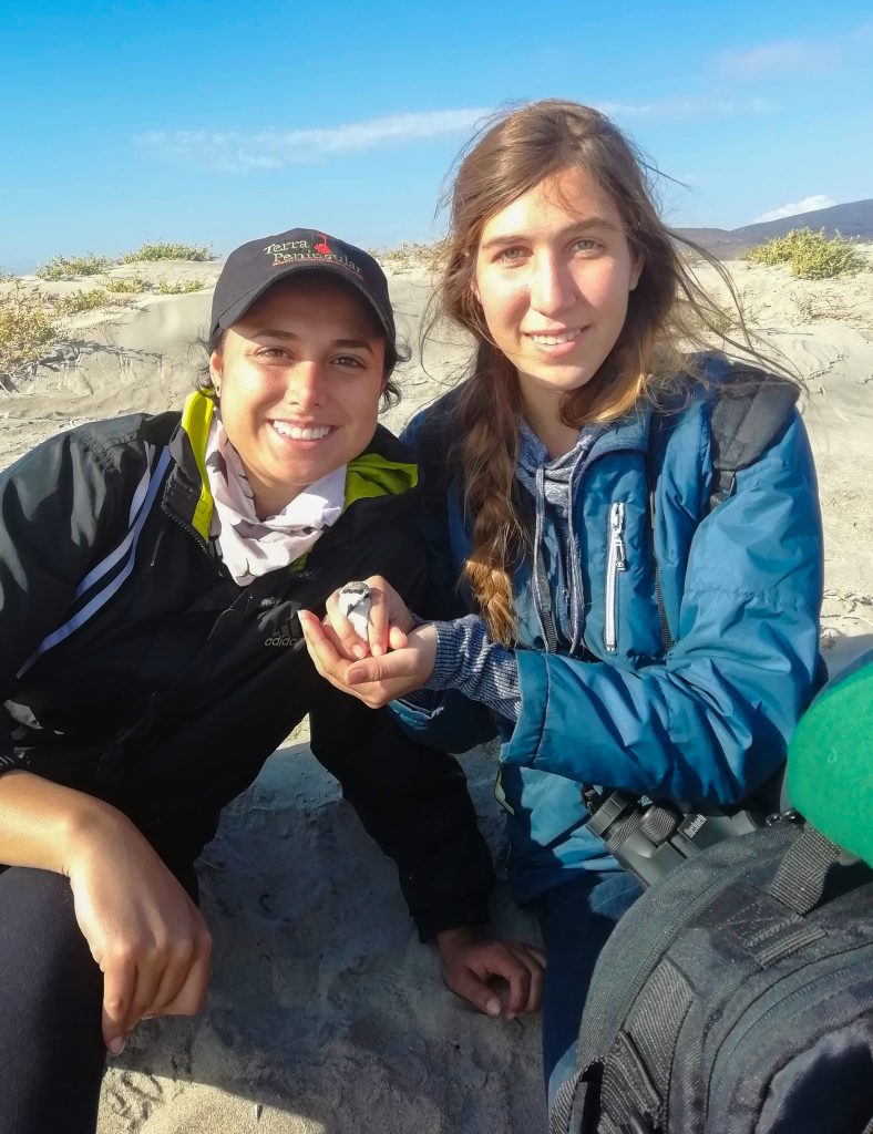 Egresada UDLAP invita a apoyar el proyecto por la conservación del ajolote del altiplano