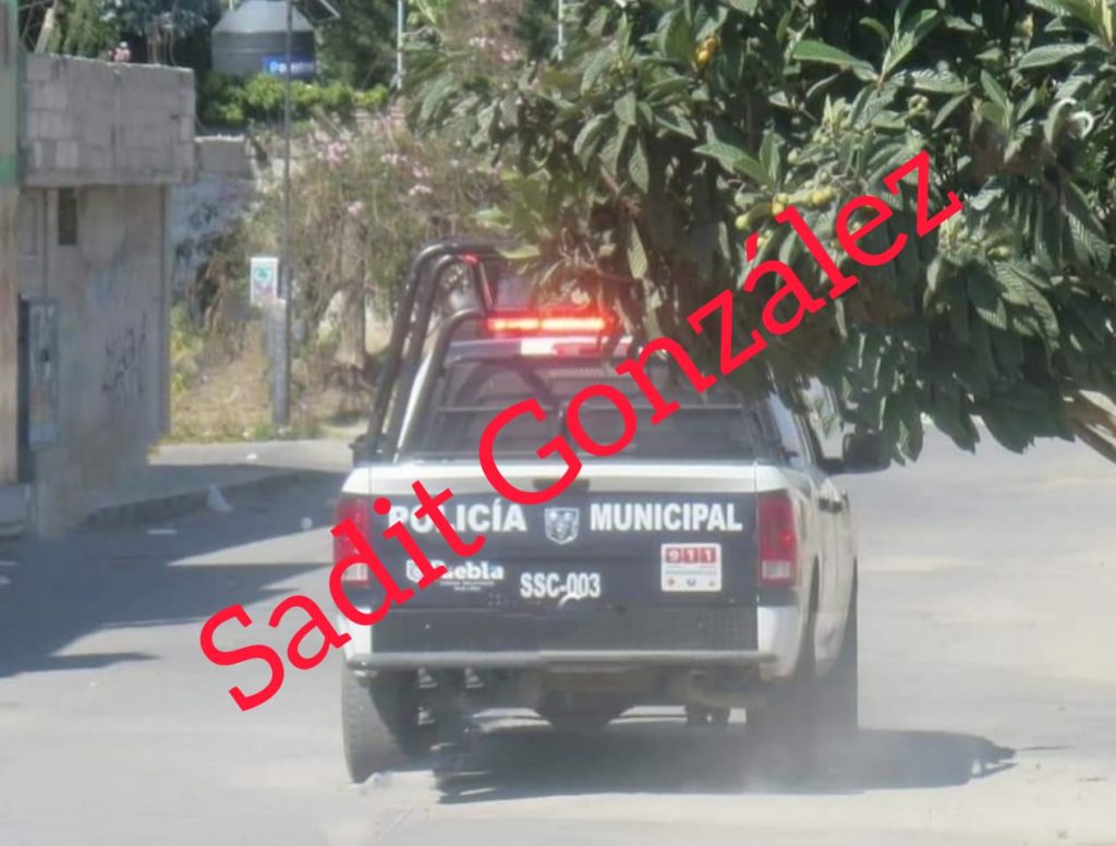 Tras riña matan a un hombre dentro de su casa en Toltepec