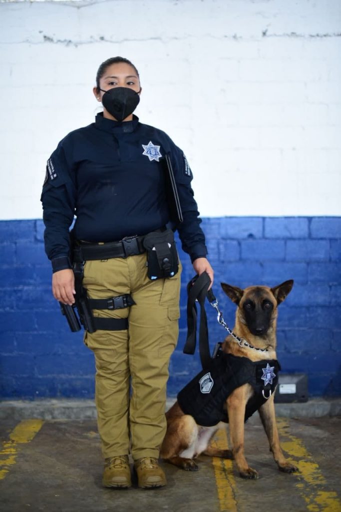 Unidad canina del Ayuntamiento de Puebla recibe certificación internacional 