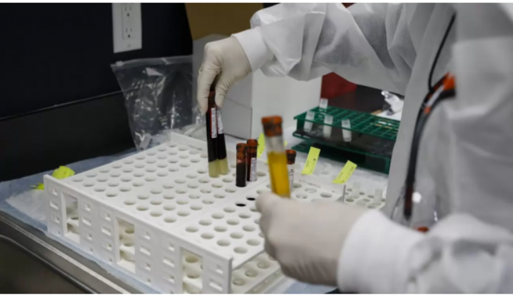 Dinamarca halla nueva cepa de COVID que podría destruir los esfuerzos de la esperada vacuna