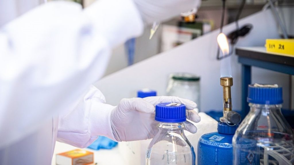 RevImmune avanza con nueva inmunoterapia para la COVID-19