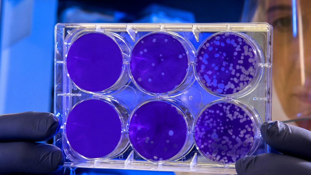 ¿Puede la “Ciencia Abierta” acelerar la búsqueda de una vacuna contra el COVID-19? Cinco cosas que debes saber