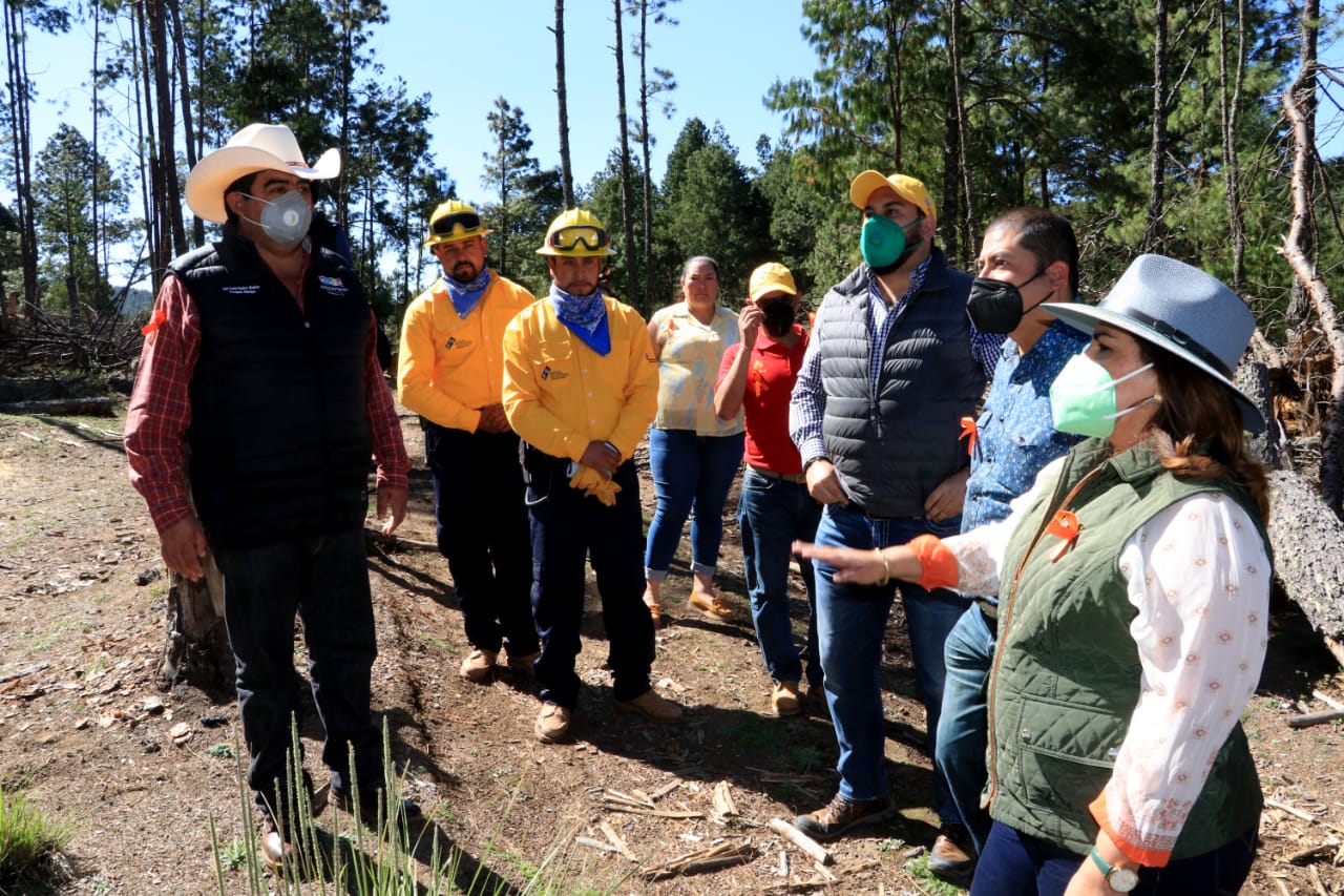 Promoverá Medio Ambiente acciones de recuperación forestal en Ahuazotepec