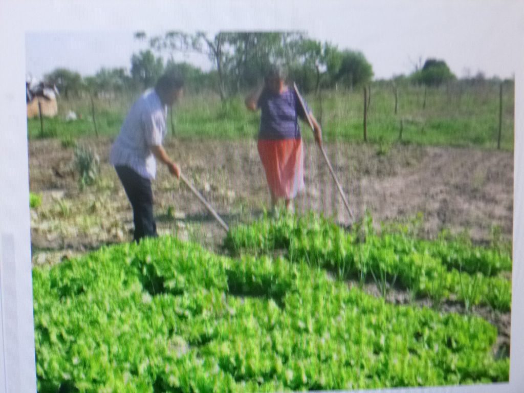Se vislumbra un panorama de mayor pobreza en el país, advierte dirigente de la CNC-PRI