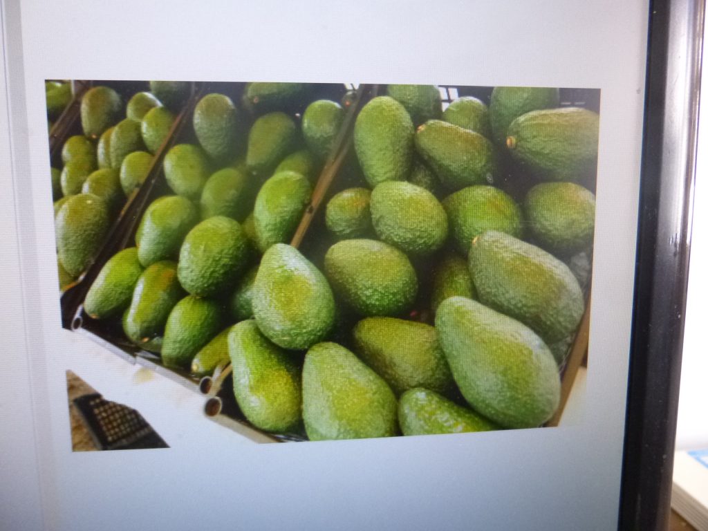 La SDR entregó malla ciclónica a productores de aguacate en Atlixco