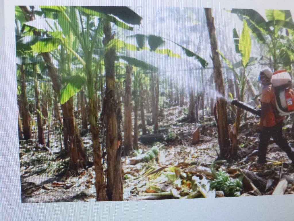 Emite la SDR las convocatorias de Fortalecimiento e Impulso y Tecnificación al Campo Poblano