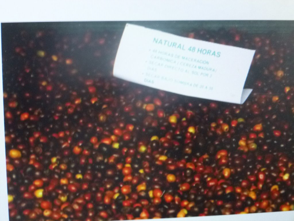 La SDR inició talleres de beneficio húmedo de café en la Sierra Norte