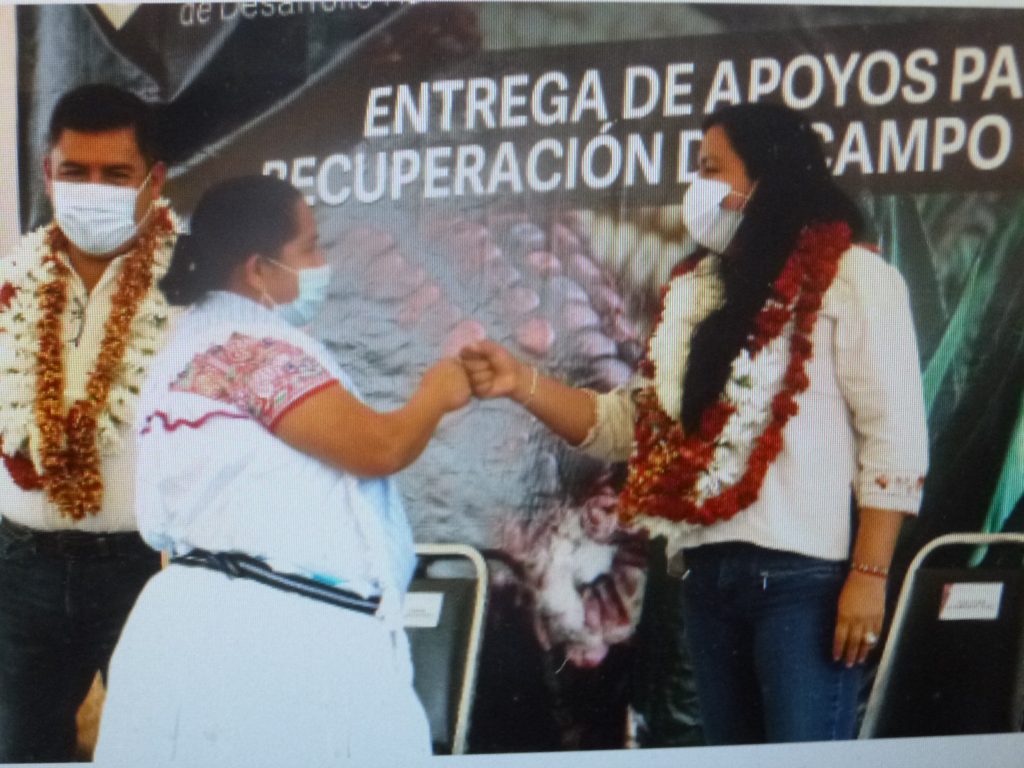 En este gobierno estatal el campo nunca estará abandonado, afirma la titular de la SDR