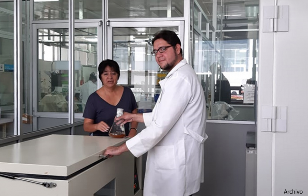 Desarrollan en la BUAP vacuna contra virus porcino