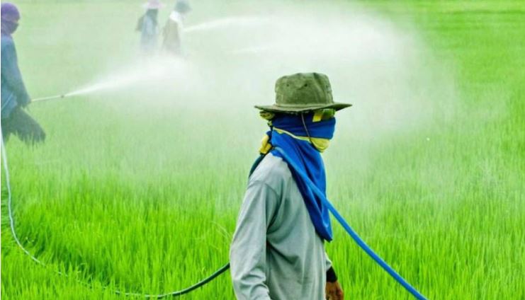 Instituciones federales al prohibir la importación de glifosato atentan contra la seguridad alimentaria del país, denuncian fabricantes de agroquímicos