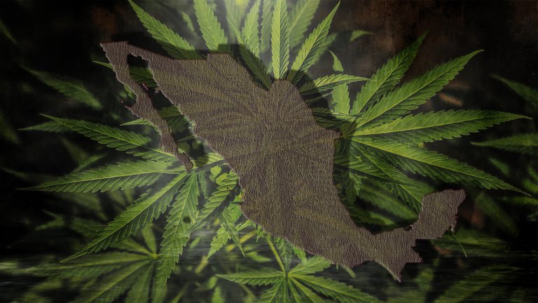 Senado en México aprobó la regulación y despenalización del uso lúdico de la marihuana en todo el país