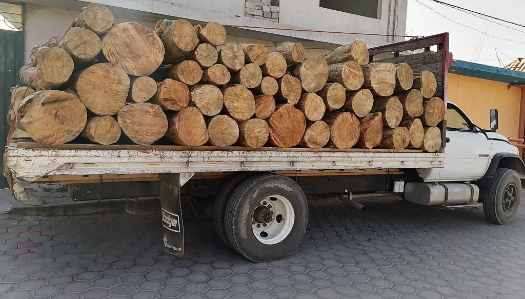 Desde Tlaxcala: SSC asegura un camión con material forestal en Acuamanala