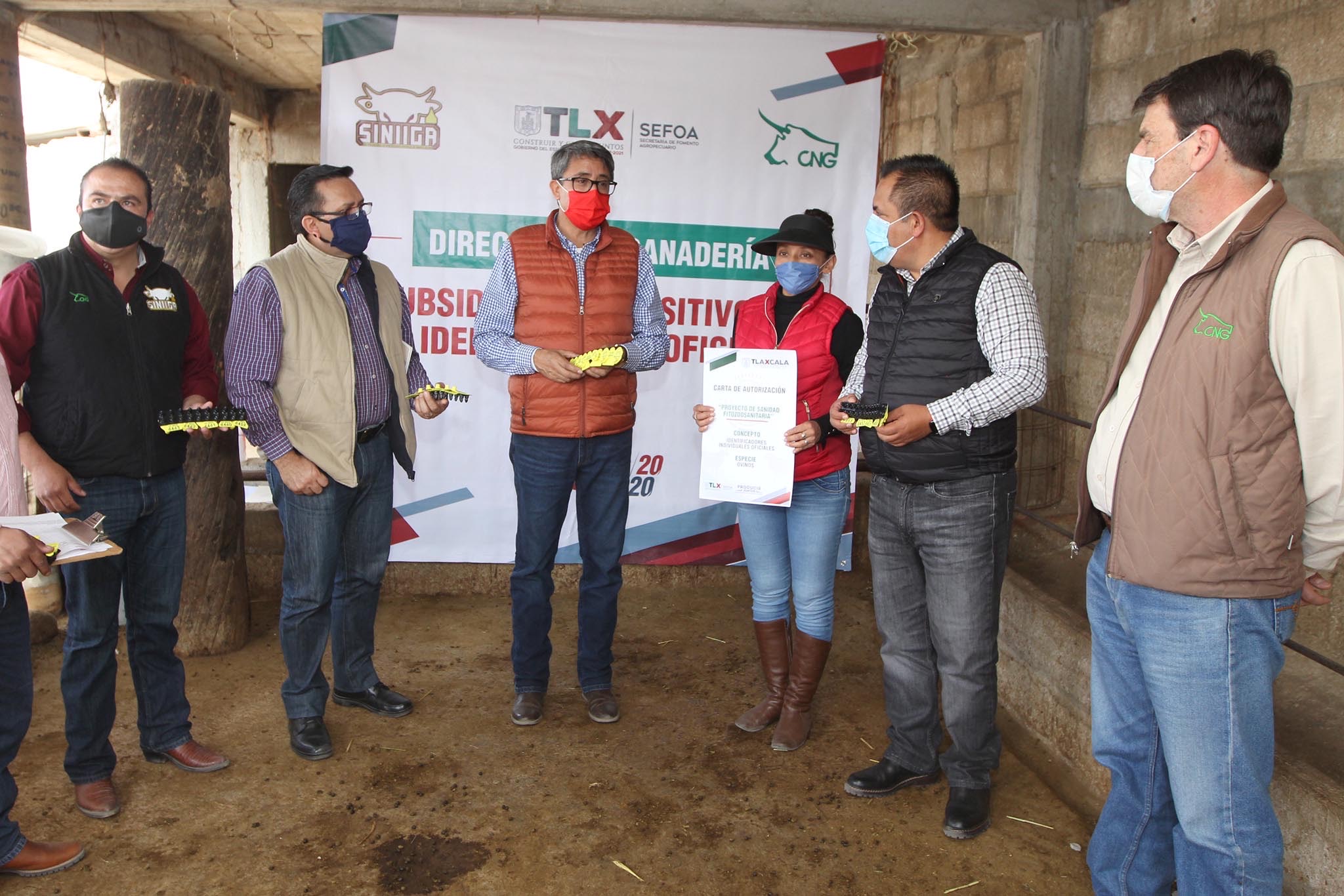 Invierte SEFOA 1.6 mdp para identificar  al ganado en Tlaxcala