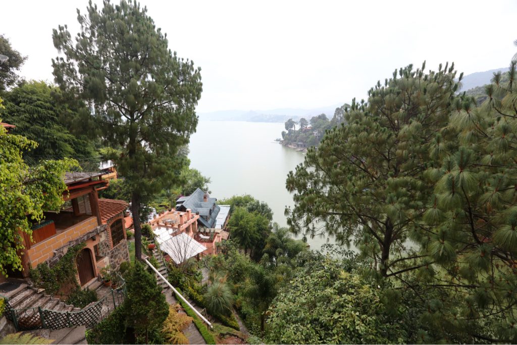 Destinos boscosos para pasar Navidad y lo que cuesta vivir en ellos