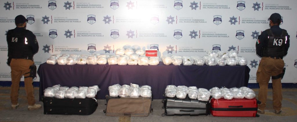 Asestó grupo K9 de la policía municipal de Puebla segundo golpe contra el narcotrafico; fueron asegurados cerca de 100 kilogramos de posible marihuana