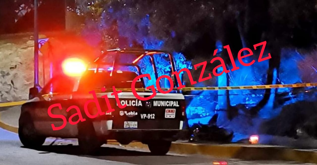 Muere motociclista al chocar contra un árbol en Bosques de Chapultepec