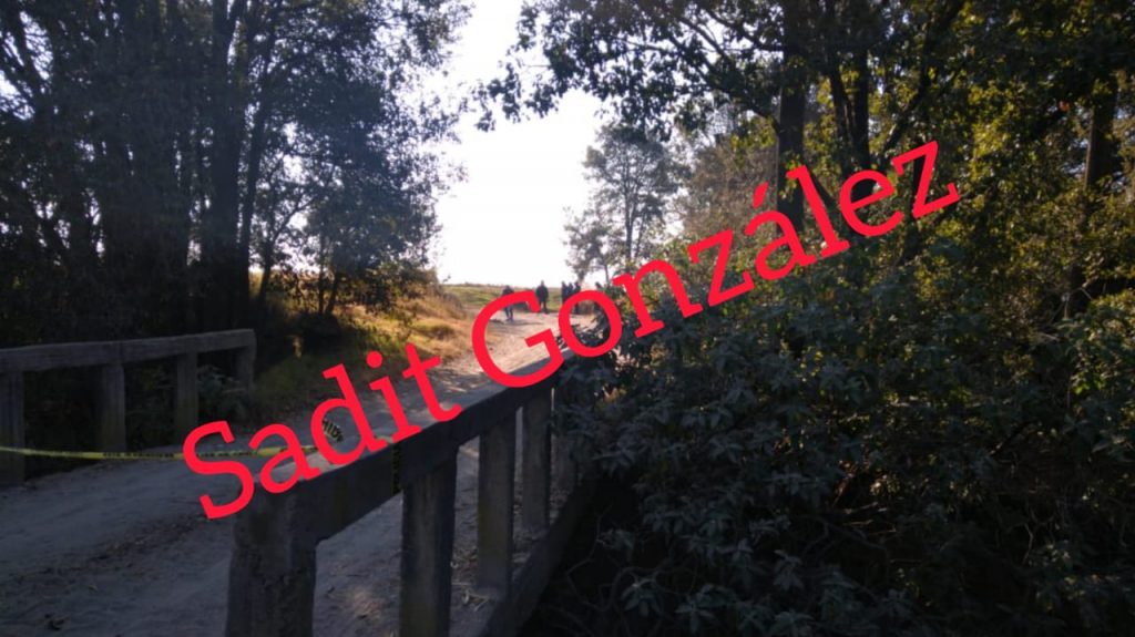 Perros devoraban el cadáver de una persona en San Miguel Espejo