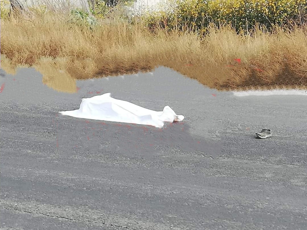 Arrollado y muerto en la carretera Tehuacán-Teotitlán