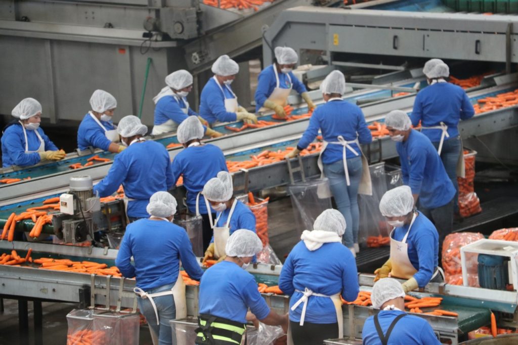 Puebla suma bimestre con disminución en tasas de desocupación