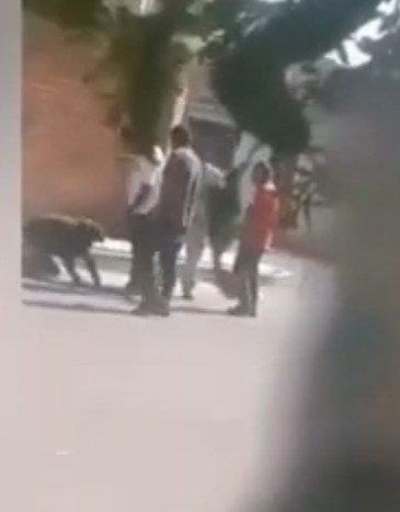 Video desde Puebla: Vecinos de la inspectoría Casa Blanca detienen y golpean a supuesto ratero