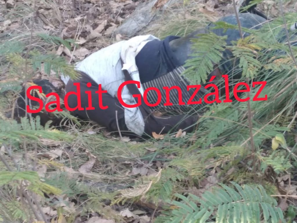 Habría sido suicidio el de la mujer encontrada en Jardines de la Montaña