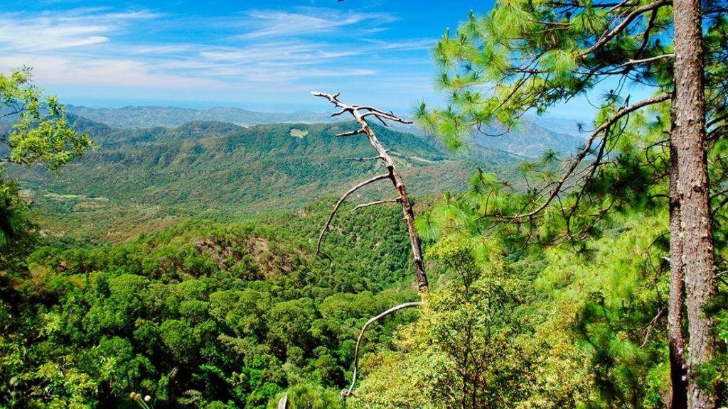 En 2019 éste fue equivalente al 4.5% del PIB a precios de mercado