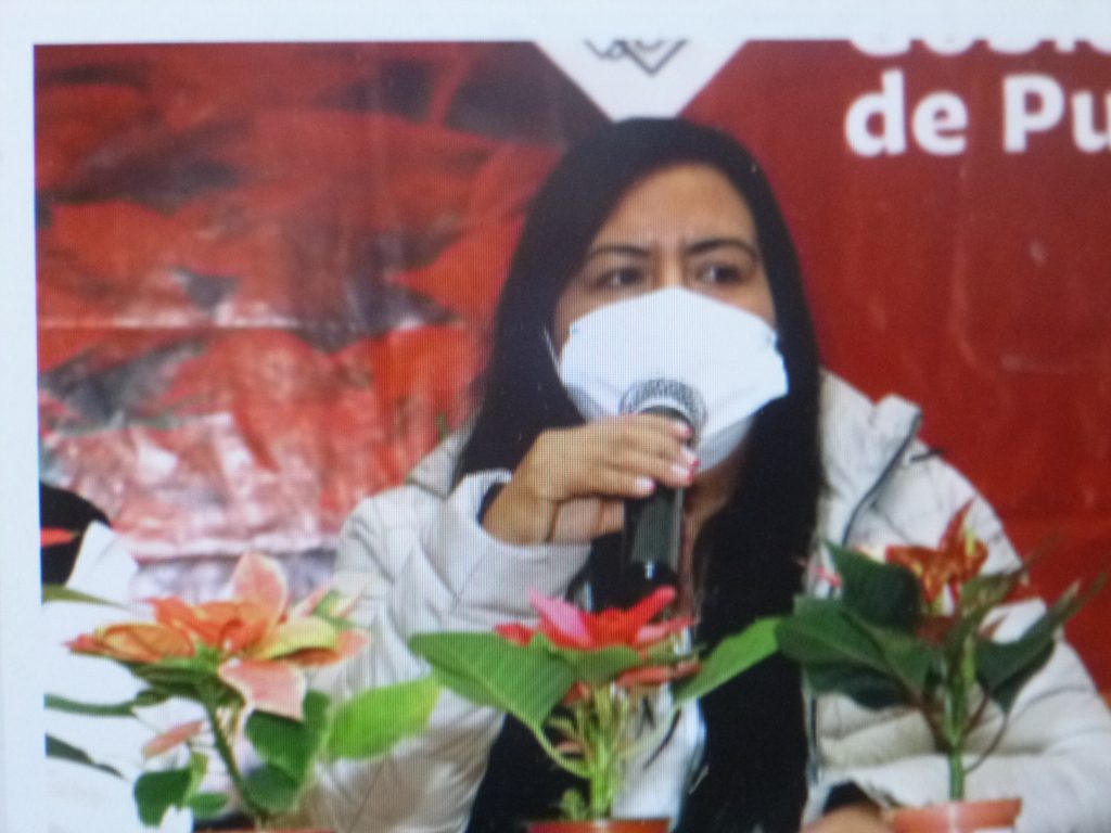 Impulsa la SDR la venta de flor de nochebuena en esta temporada decembrina
