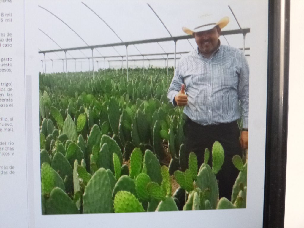 Números rojos en producción de alimentos con AMLO, acusó Rafael García