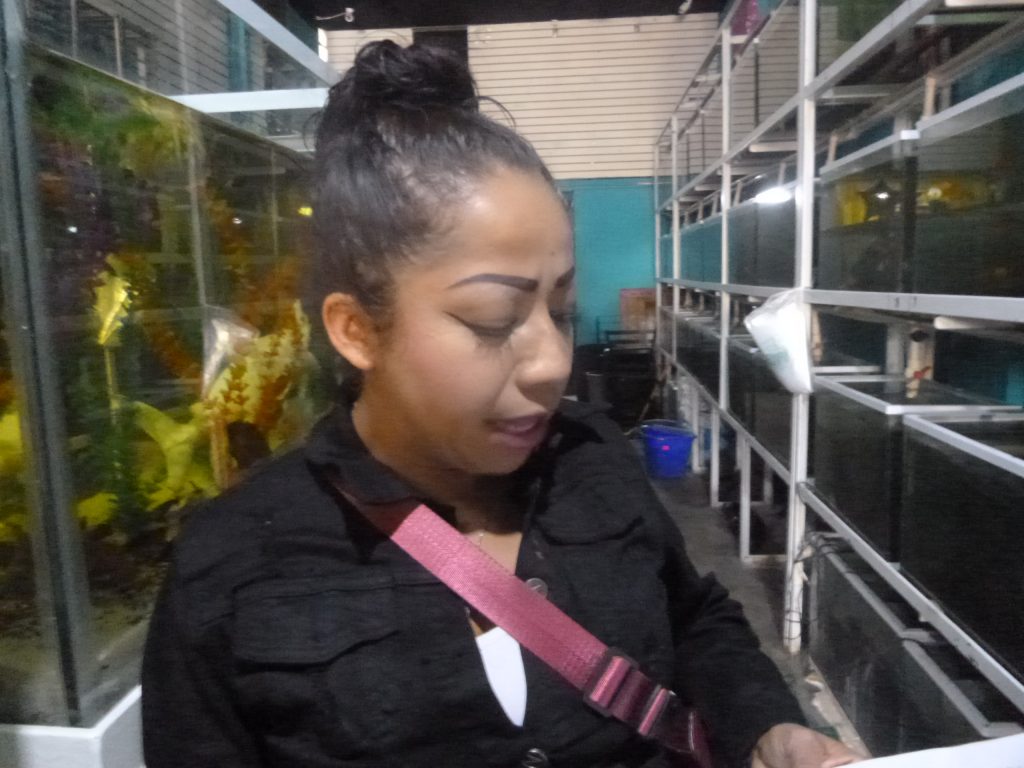 Organizaciones de ambulantes del centro histórico piden el apoyo del Senado de la república