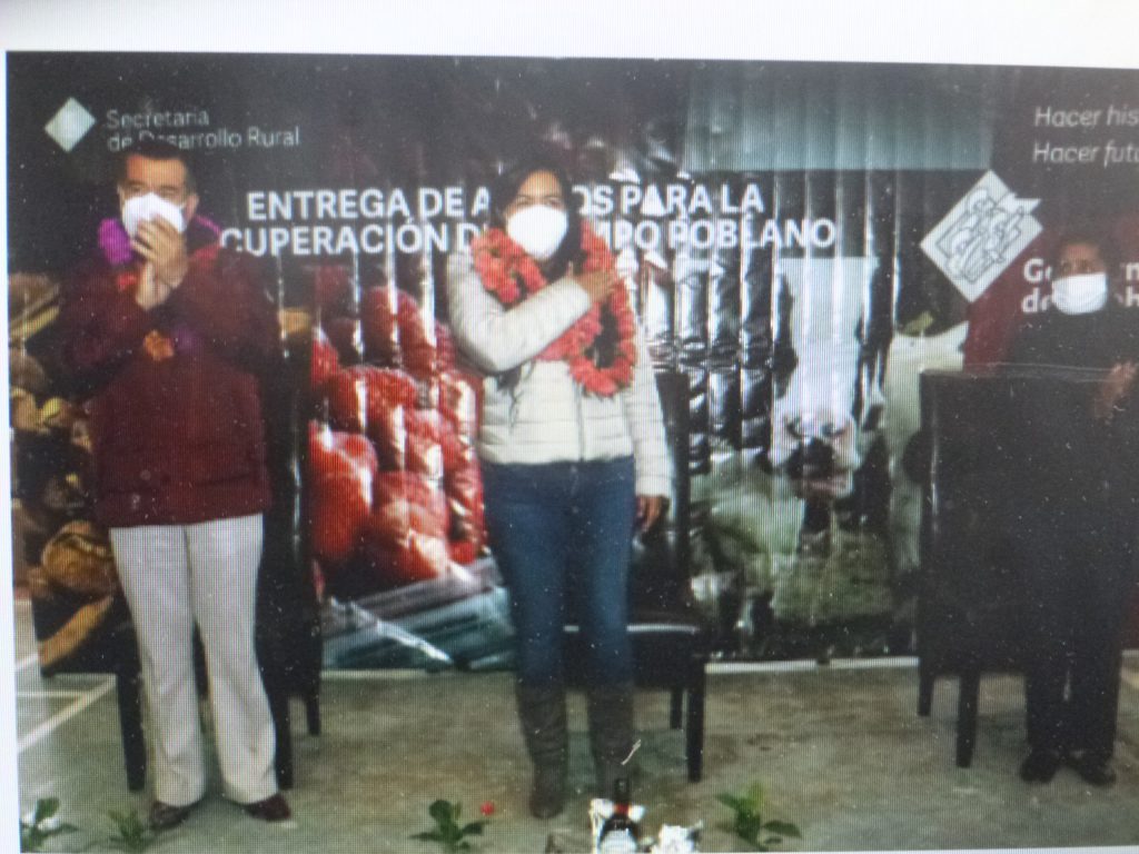 Se posicionará al estado como uno de los principales productores de cafés de calidad