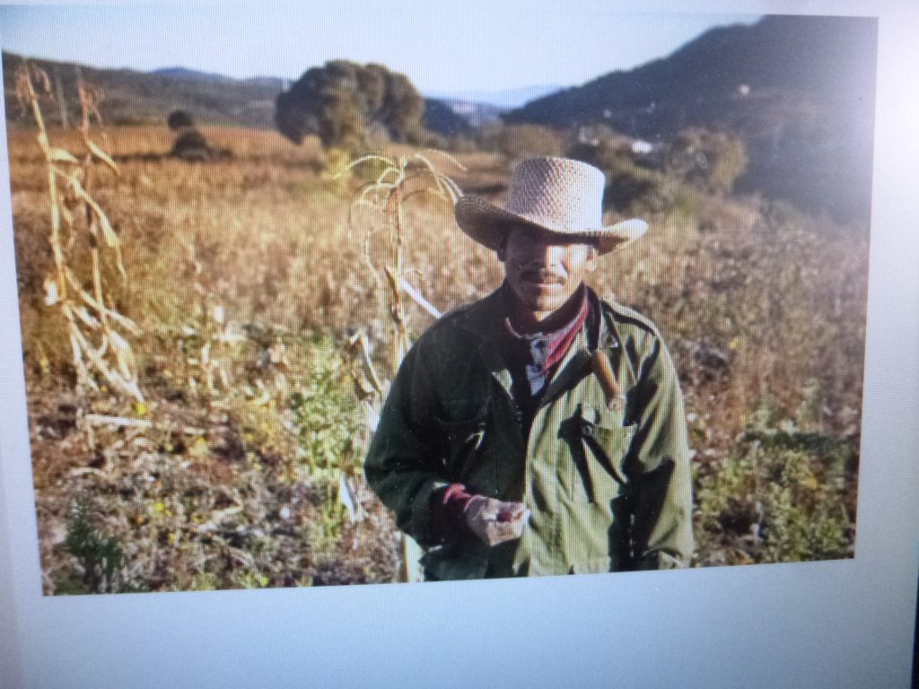 El modelo que se aplica en el campo es experimental, afirma analista