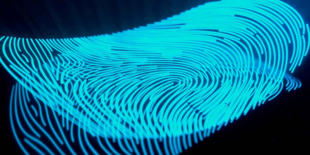 Privacidad y Vigilancia: los padrones de datos personales de la 4T