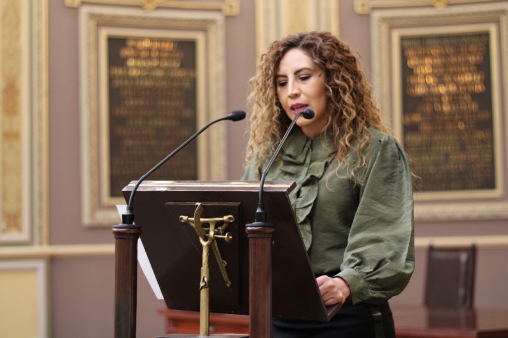 Ante contingencia sanitaria busca la diputada local Iliana Ruíz prohibir el comercio ambulante